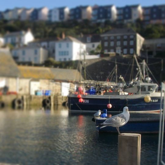 Harbour Piers And Quays