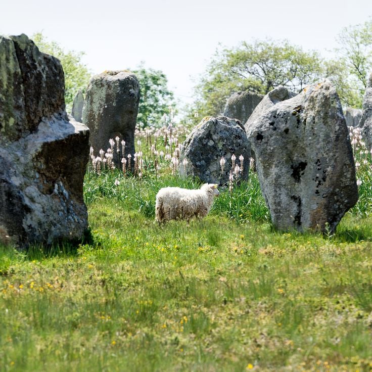 Kamienie Carnac