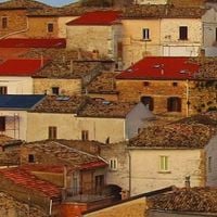 Bovino