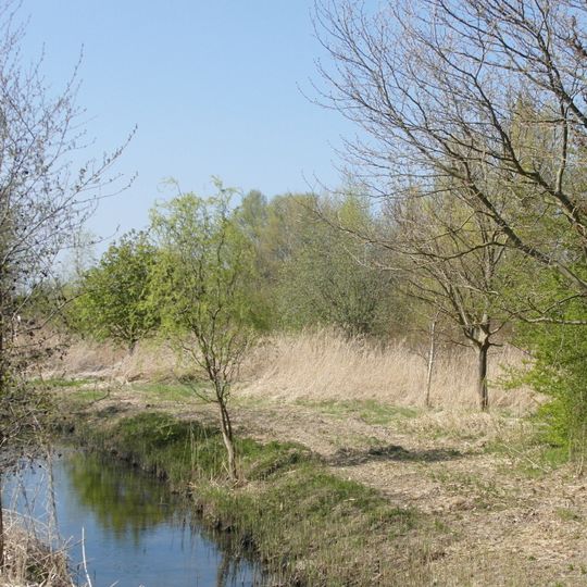 Hirtenbach - Wettberger Holz