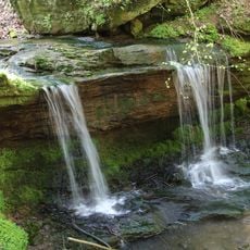 Meulenwald und Stadtwald Trier