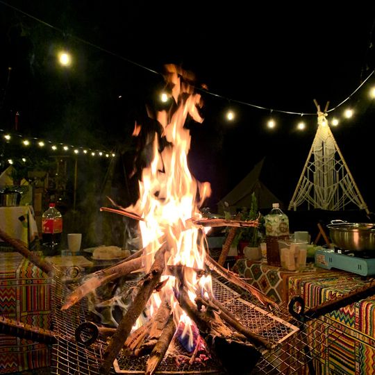 入樹。村｜寵物友善｜懶人露營