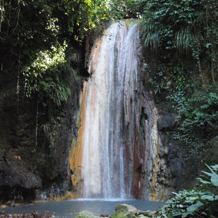 Diamond Botanical Gardens