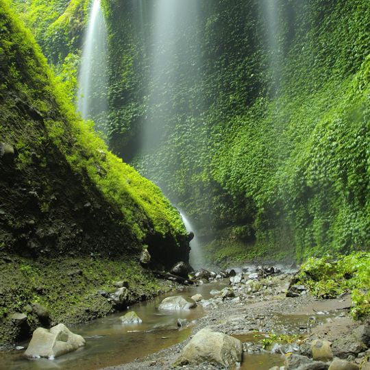 Madakaripura Waterfall