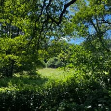 Geschützter Landschaftsbestandteil Schmidt’s Eisteiche