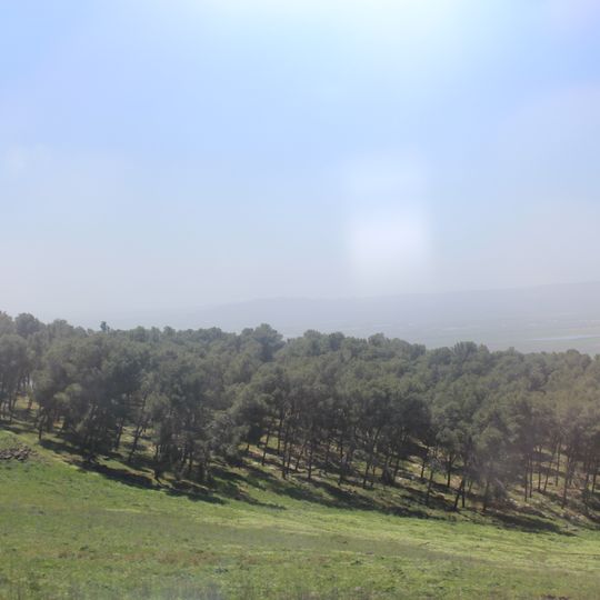 Rezerwat przyrody Giwat ha-More