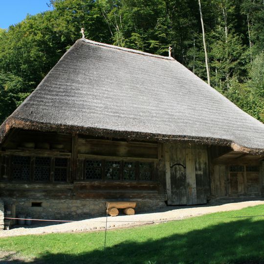 Thatched roof house