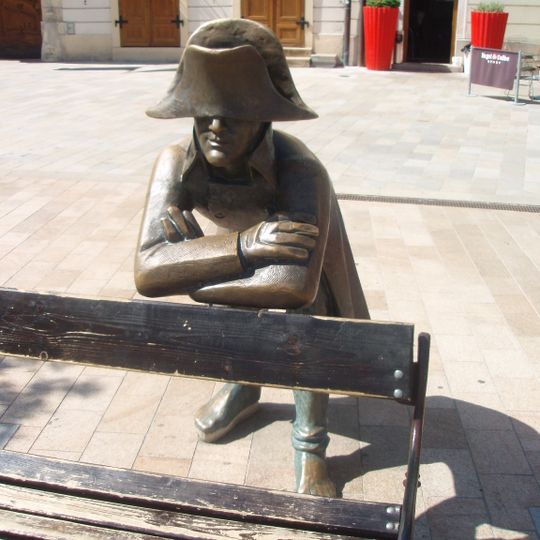 Napoleon's Army Soldier by Juraj Meliš