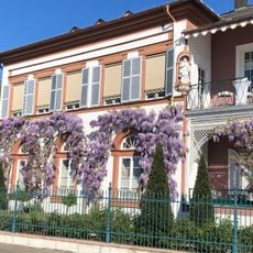 Villa G. v. Mumm