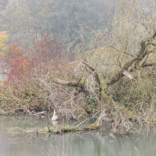 Abschnitt des Ludwig-Donau-Main-Kanals #04