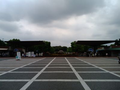 Entrée 2
