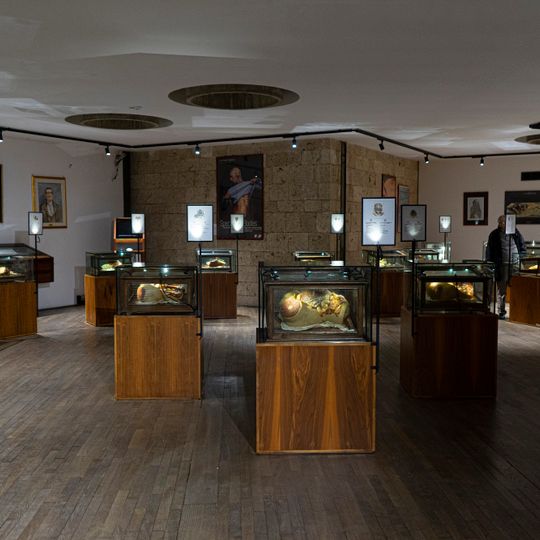 Museo Delle Cere Anatomiche
