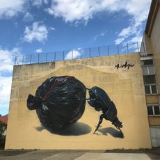 Dung Beetle