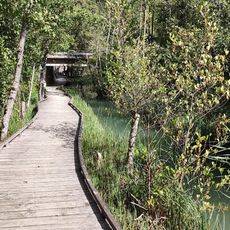 Le Marais des Bouligons