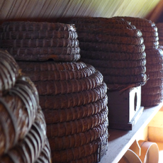 Local museum in the tower house