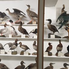 Stemmler Museum