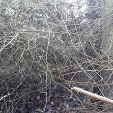 Kříž nad Bdeněvsí u cesty do Kníjí