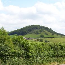 Twinhills Woods and Meadows