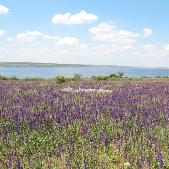 Tyligul Estuary Landscape Park, Mykolaiv Oblast
