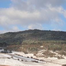 Pfaffstättner Kogel