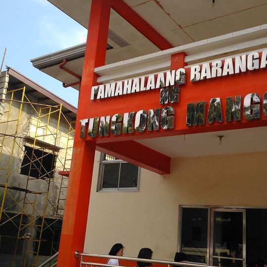 Tungkong Mangga Barangay Hall