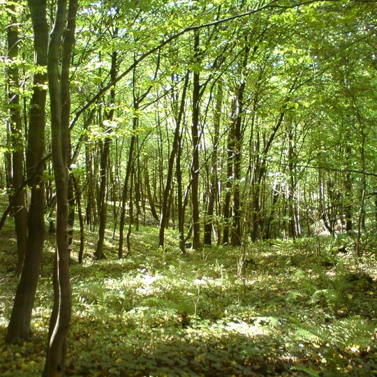 Nature reserve in Głęboka Dolina