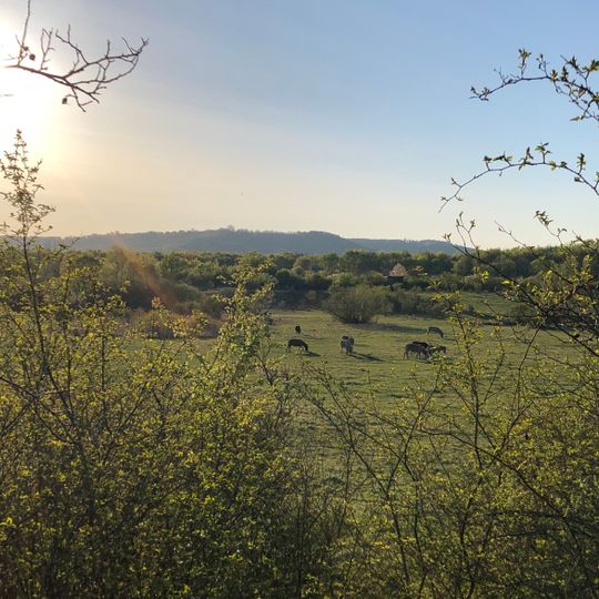 Hinter der Mortkaute