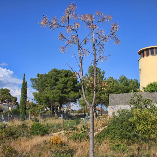 Torres dels Dos Molins