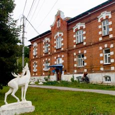 Plavsk city hospital