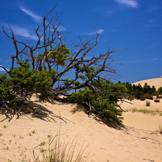 Parc d'État de Jockey's Ridge