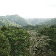 Monti Escambray