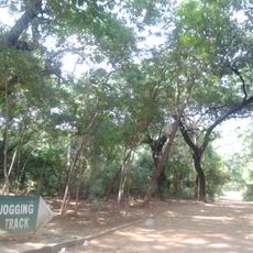 Jahanpanah City Forest