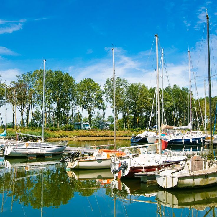 Flower Camping Le Haut Dick