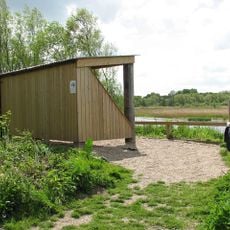 RSPB Surlingham Church Marsh