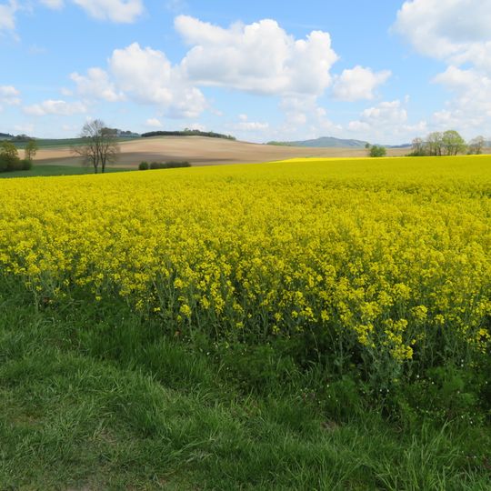 Offenland um Schüren und Erflinghausen