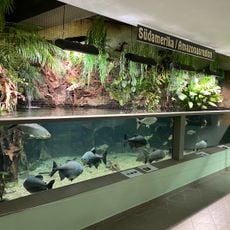Exotarium Oberhof