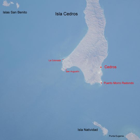 Cedros Island