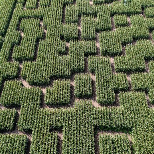 Pop Corn Labyrinthe PORNIC