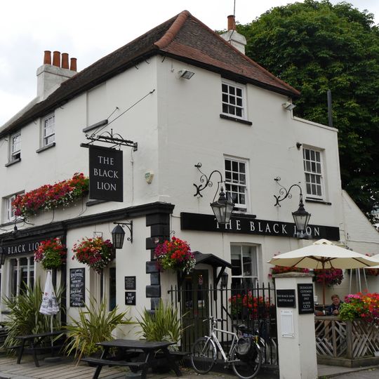 Black Lion