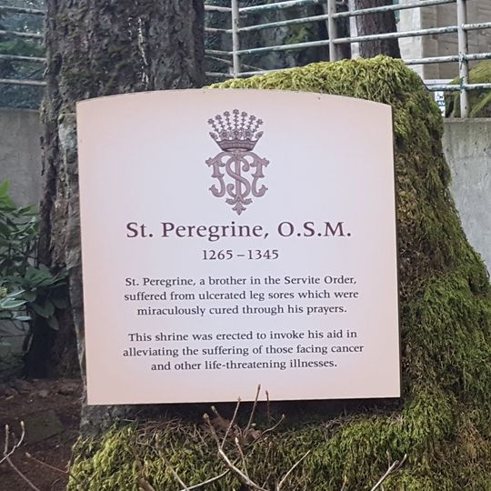 Saint Peregrine, O.S.M.
