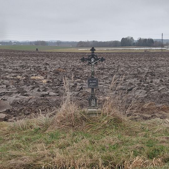 Kříž u cesty na Pašice