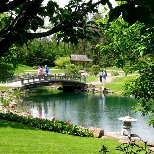 Jardín botánico devónico