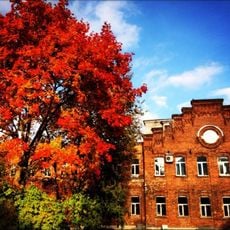 Korsakov Distillery buildings