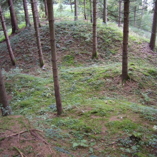 Burgstall Schaunberg