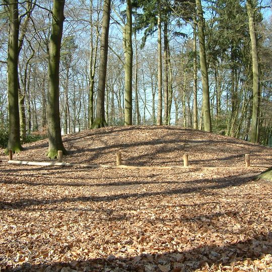 Grafheuvels in het Spainkbos