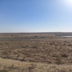 Barsa-Kelmes Nature Reserve