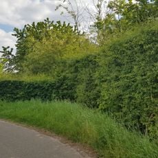 Belgium-Netherlands boundary stone no. 88
