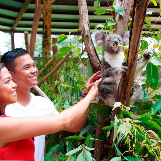 Oakvale Wildlife Park