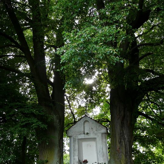 Lípy malolisté u Mukařova