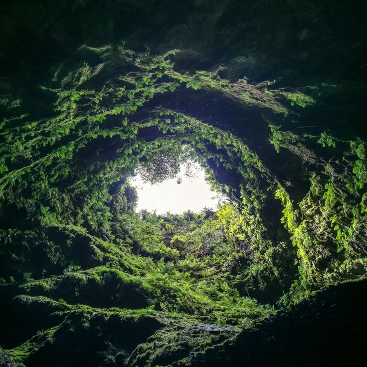 Jaskinia Algar do Carvão